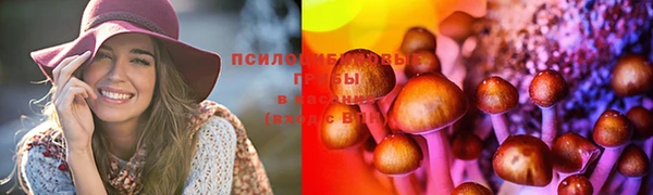 твердый Майский