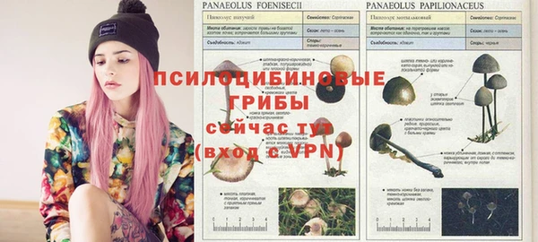 альфа пвп Магас