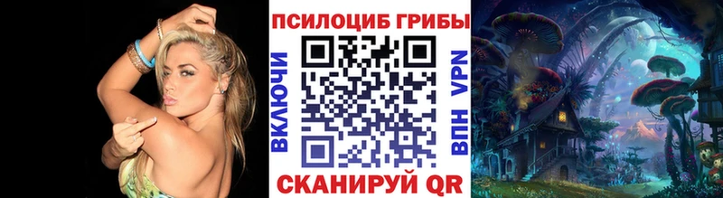 Купить закладки  Тобольск  Псилоцибиновые грибы Psilocybine cubensis 